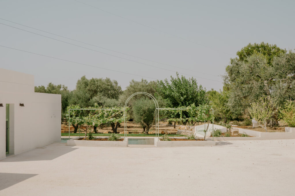 Villa HA corte pergola vite piscina giardino architettura interior design Ostuni - Studio archRodio