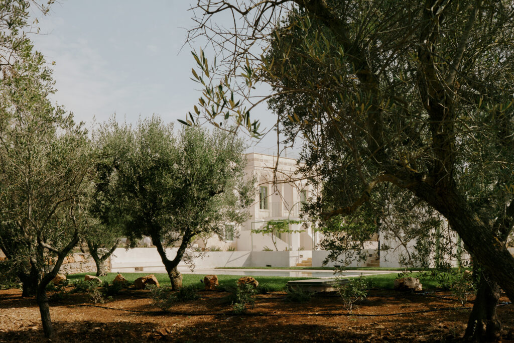 Villa HA giardino olivi piscina architettura interior design Ostuni - Studio archRodio