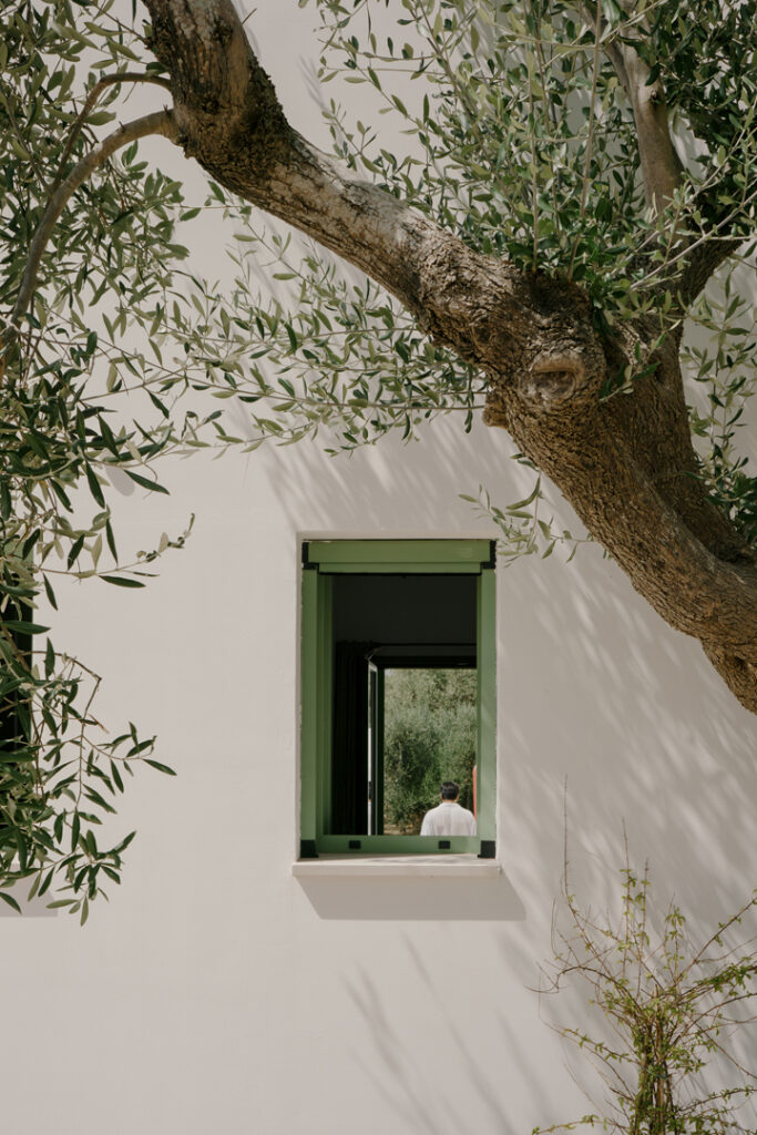 Casa WO finestra con olivo Ostuni - Studio archRodio